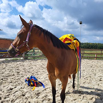 Round Pen