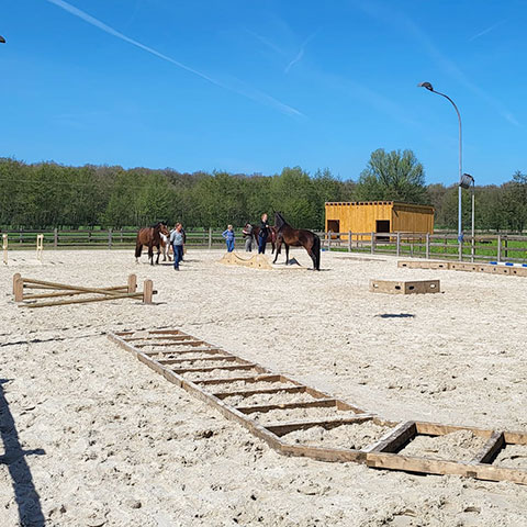 Unser Reitplatz